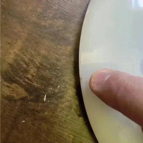 1970s Anchor Hocking Fire King Nature’s Bounty Fruit Harvest  Circle 8.25 Inches - Picture 6 of 6